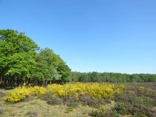 Nederland geniet! Top lenteweer!