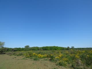 Nederland geniet! Top lenteweer!