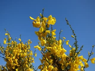 Nederland geniet! Top lenteweer!