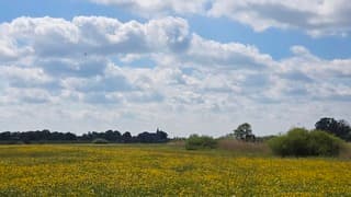 Hollandse wolkenluchten