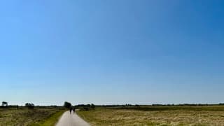 Strak blauw