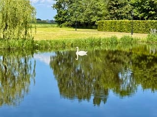 Zomers