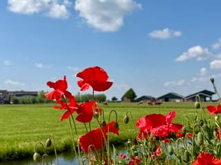 Zomers