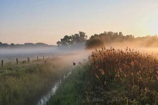 Mist hing op het vel!