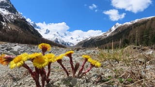 Alpen: vandaag zonnig, komende week sneeuw op hoogte
