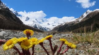 Alpen: komende week winters