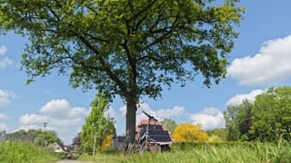Borculo vanuit een ander perspectief