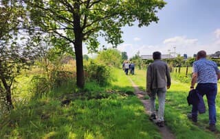 Heerlijk wandelweer.