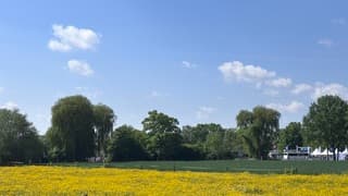 Geel, groen blauw