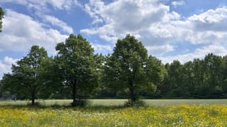 Stapel Wolkenluchten