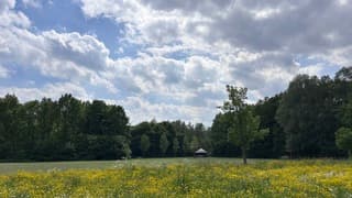 Uitsmerende stapelwolken