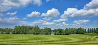 Wat vriendelijke wolkjes en pas gemaaid gras 