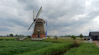 Bewolking