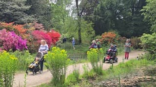 Arboretumweer met bloemenzee