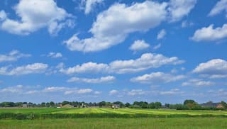 mooi weer, boeren aan't hooien in de verte