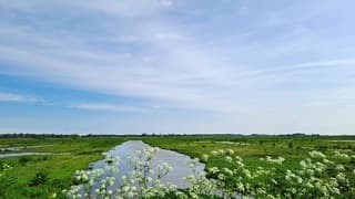 Sluierbewolking en zon 