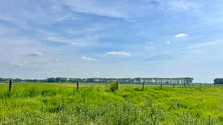 Mooie lentedag in de polder metvariatie aan bewolking aan de blauwe lucht 