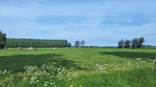 er komt wel steeds meer bewolking