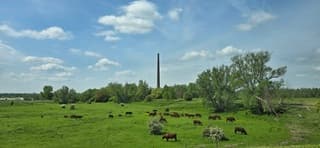 Wat wolkjes op moederdag
