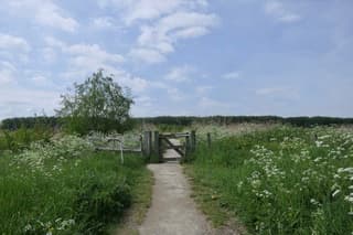 Mooi wandelweer 