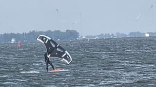 harde wind