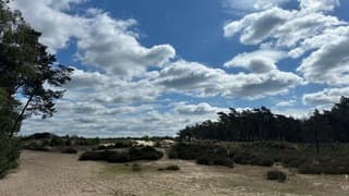 De duinen bij de bossen van Otterlo voor het slechte weer komt