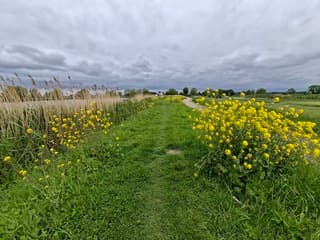 Naderende regengebied vanuit het noorden.