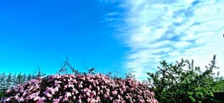 Kleuren