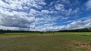 Mooie stapelwolken lucht boven deze 3 paarden in Dwingeloo