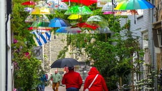 Onder de parapluus voor af en toe bui