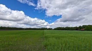 Stapelwolken en blauwe lucht