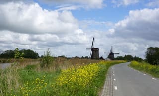 Wind