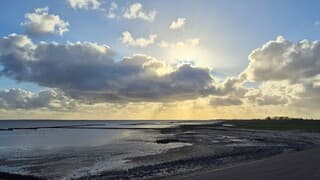 Op de Waddendijk bij Wierum (richting oost)