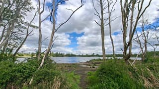 Doorkijk naar meertje en lucht met stapelwolken
