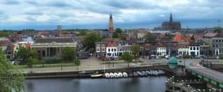Skyline van Haarlem op een grijze dag 