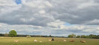 Weersverandering opkomst boven Dwingelderveld 