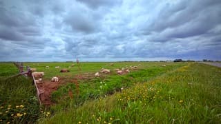 Texel