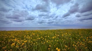 Texel