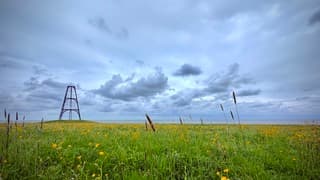 Texel