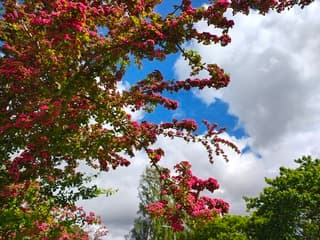 Prachtige kleuren 