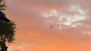 Zonsopkomst 