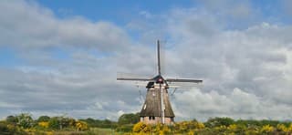 Weersverandering opkomst 