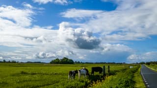 Mooie wolken