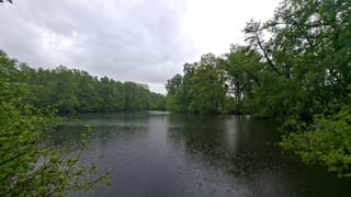 De regendruppels in het water, wel goed voor alle planten, gewassen en bomen die het hard nodig hebben