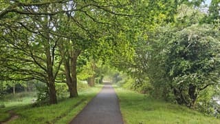 Door alle regen is het mooi groen
