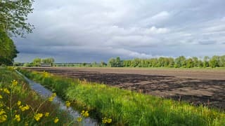 Nog zonnig maar bui hangt boven Steenwijk/Havelte, met witte en donkere wolke en geel koolzaad op voorgrond