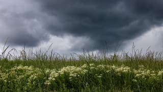 Goed weer.. je kunt er naar fluiten vandaag