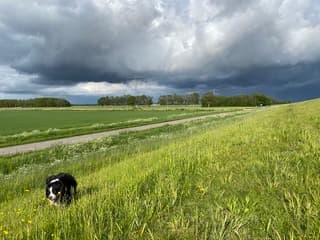 Donkere wolken en zon