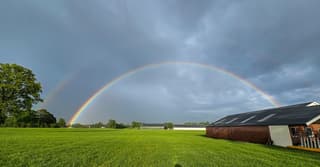 Regenboog