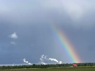 Regenboog